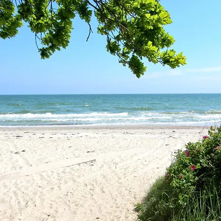 Rex Rugia Fewo12-5 Mit Schwimmbad Und Saunanutzung Im Ahoi-erlebnisbad Sellin * لوبه